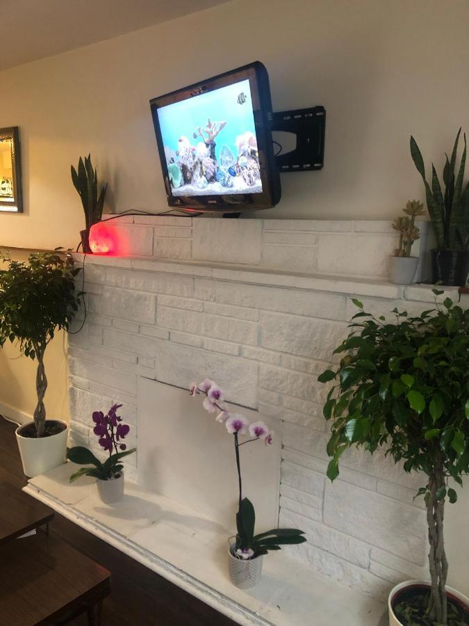 Quiet-Comfy 3 Bedroom Home On A Tree Lined Street In Kits Vancouver Zewnętrze zdjęcie